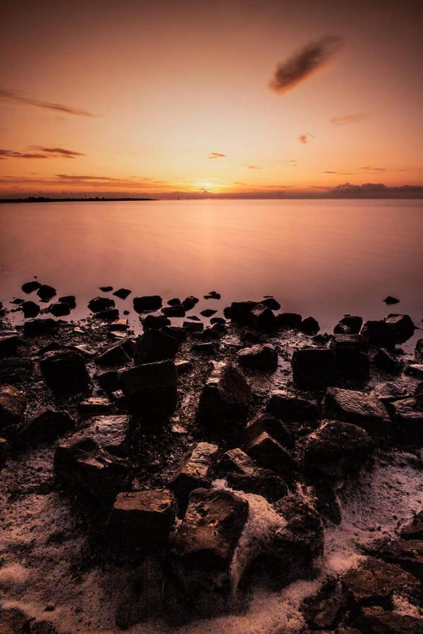 Vissershuisje Aan De Waddenzee Paesens 외부 사진